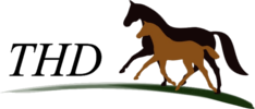 LogoTHD_right_100